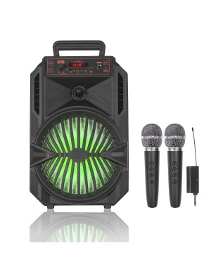 Портативная акустическая система BIG DECEPTICON (USB/MP3/FM/BT + 2 радиомикрофона)