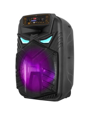 Портативная акустическая система BIG12ALIEN (USB/MP3/FM/BT)