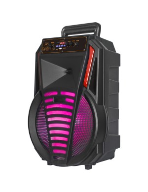 Акустическая система портативная BIG 12PREDATOR (USB/MP3/FM/BT)