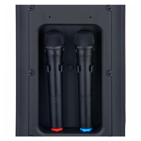 Акустична система портативна BIG JB X828 (USB/MP3/FM/BT/TWS + 2 VHF мікрофона)