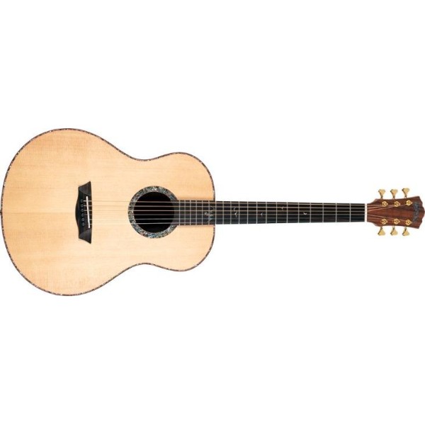 Акустична гітара Washburn ELEGANTE S24S