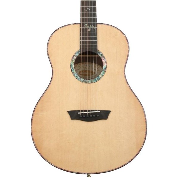 Акустична гітара Washburn ELEGANTE S24S