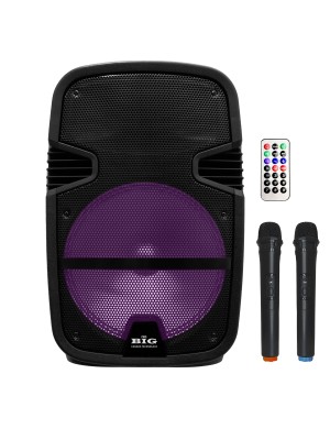 Портативная акустическая система BIG 300TORNADO (USB/MP3/FM/BT/TWS + 2 VHF микрофона)