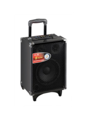 Активная переносная акустическая система BIG B78