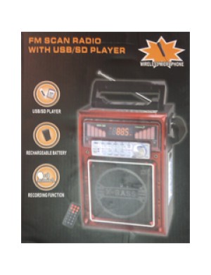 Мобильная система звукоусиления для гида BIG GIDwireless