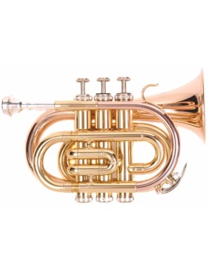 Труба Odyssey OCR100P