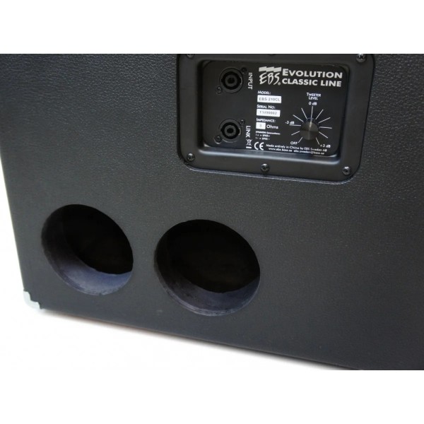 Кабінет басовий EBS ClassicLine 210