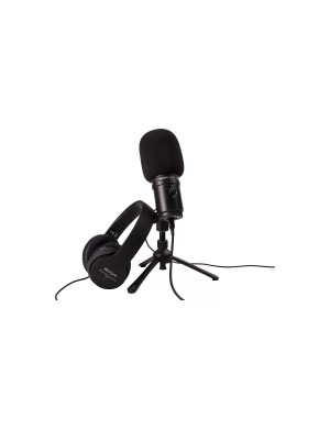 Комплект для звукозаписи Zoom ZUM-2PMP Комплект для звукозаписи Zoom ZUM-2PMP