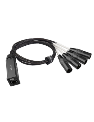 Разветвитель CAT Snake Roxtone PS4M