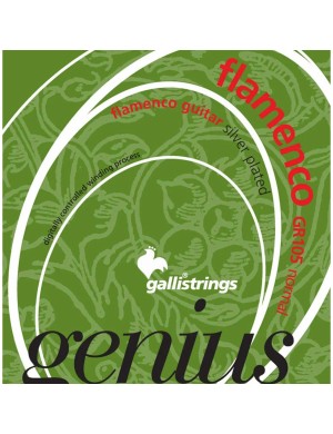 Струни для класичної гітари Gallistrings GR105 NORMAL TNS