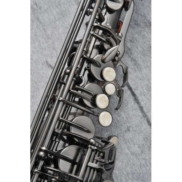 Альт саксофон J.MICHAEL AL-980GML (S) Alto Saxophone Альт саксофон J.MICHAEL AL-980GML (S) Alto Saxophone