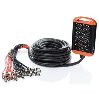 Мультикоры