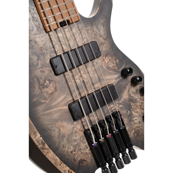 Бас-гітара CORT Artisan Space 5 (Star Dust Black)