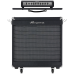 Бас-гітарний підсилювач-голова AMPEG PF-350