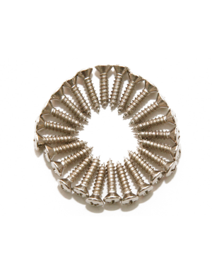 Набір шурупів DiMarzio FH1000C Pickguard / Backplate Screws – Set of 24 (Chrome)