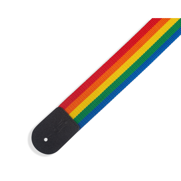 Гітарний ремінь LEVY'S M8POLY-RNB CLASSICS SERIES POLYPROPYLENE GUITAR STRAP (RAINBOW)