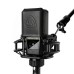 Студійний мікрофон Lewitt LCT 441 Flex