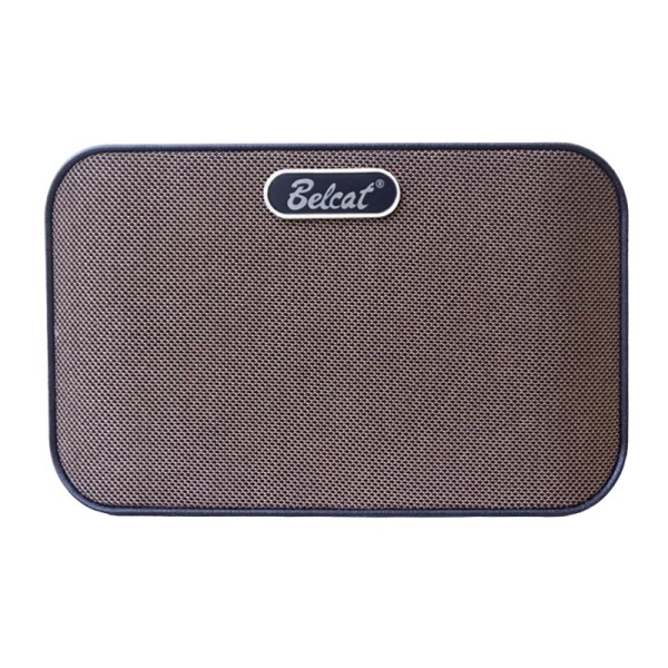 Портативний комбопідсилювач для акустичних інструментів Belcat AN-8D