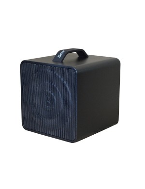 Комбопідсилювач для акустичних інструментів з мікрофоном Belcat Busker Box-Acoustic 40