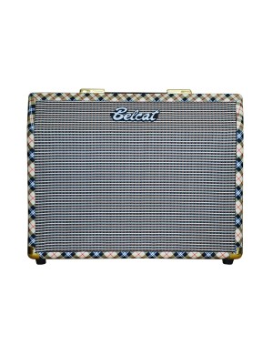 Комбопідсилювач для акустичних інструментів Belcat Acoustic25RC