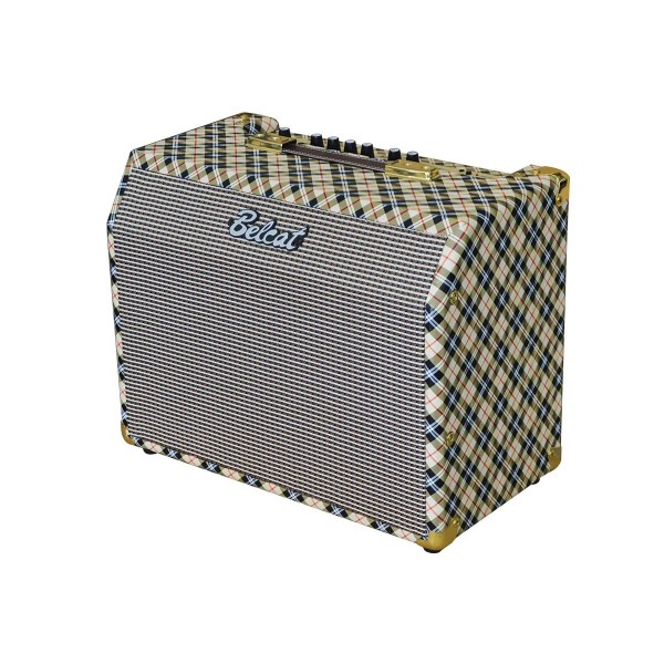 Комбопідсилювач для акустичних інструментів Belcat Acoustic25RC