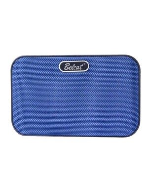 Портативний комбопідсилювач басовий Belcat BN-8