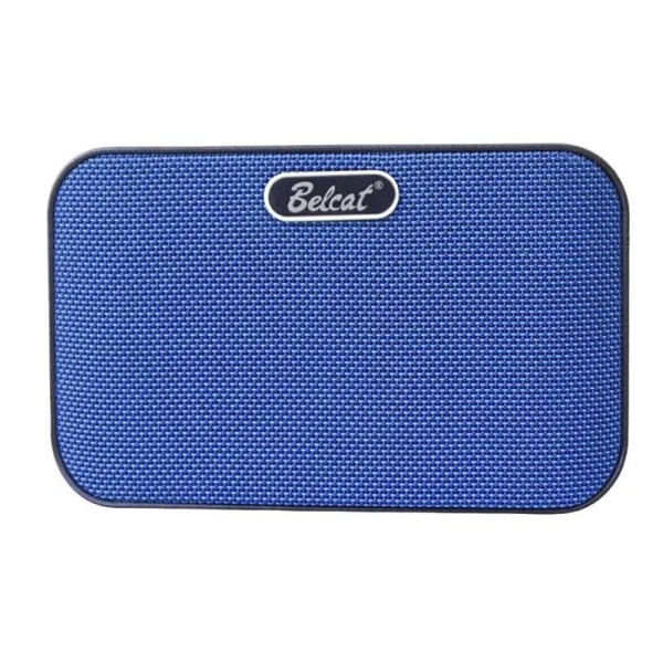 Портативний комбопідсилювач басовий Belcat BN-8