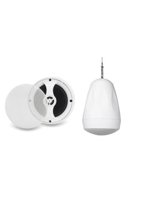 Подвесная акустическая система DV audio PS-422TW