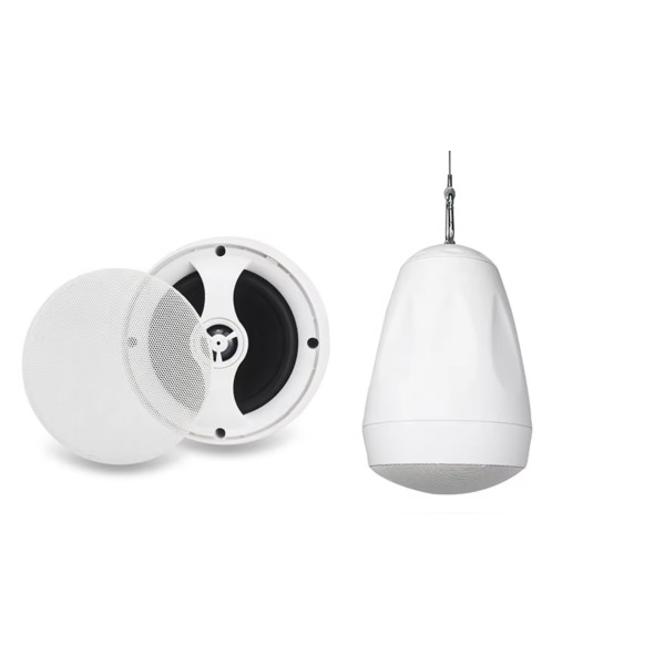 Підвісна акустична система DV audio PS-422TW