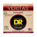 Струни для акустичної гітари DR Strings VERITAS Coated Core - Extra Light (10-48)