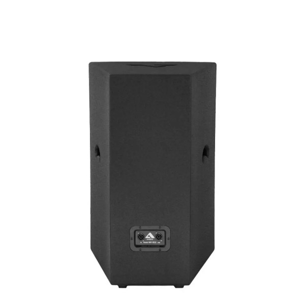 Пасивна акустична система Alex-Audio T12-P350