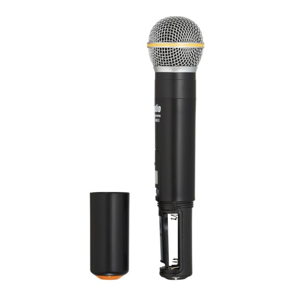 Радіосистема DV audio PGX-224 MKII подвійна