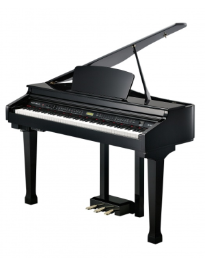 Цифровой рояль Kurzweil KAG-100 EP