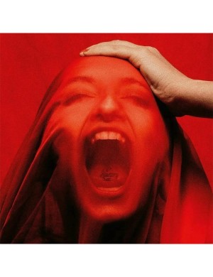 Виниловая пластинка Scorpions - Rock Believer [LP]