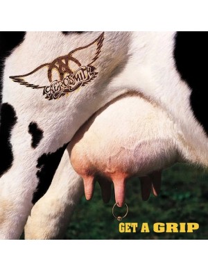 Виниловая пластинка Aerosmith - Get a Grip [2LP]