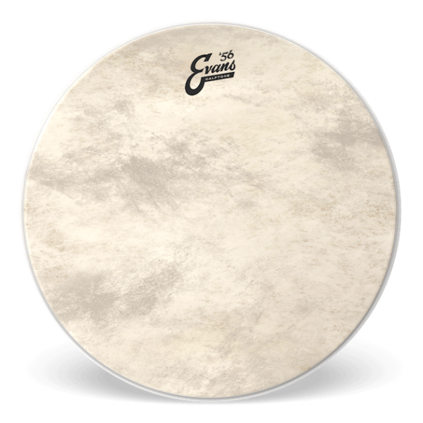 Пластик 22 "для бас-барабана EVANS BD22CT 22 CALFTONE