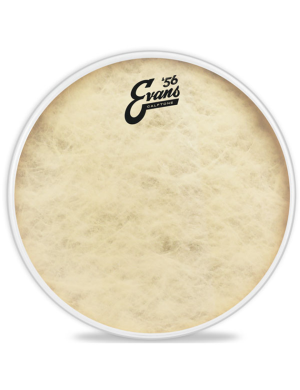 Робочий пластик 16 "для тома EVANS TT16C7 16 CALFTONE TOM