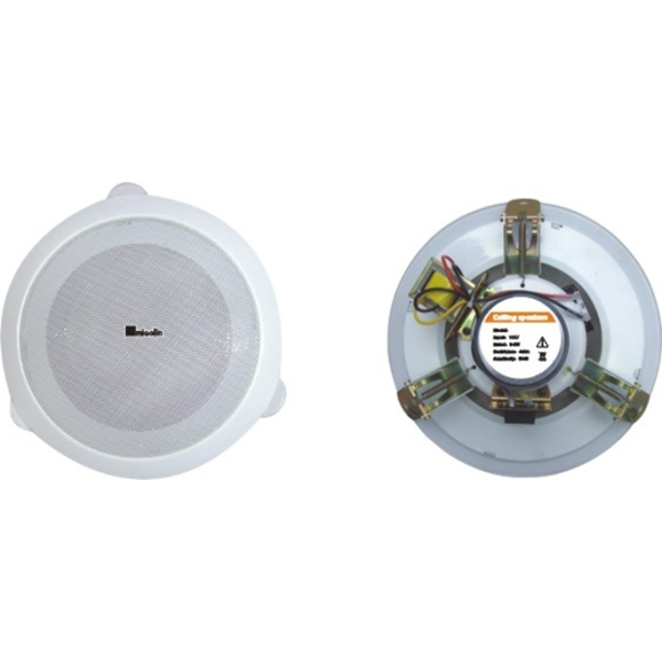 Стельовий гучномовець Younasi Y-602, 5 ", 3-6Вт, 100В