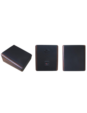 Настенный громкоговоритель Younasi Y-771, 10Вт