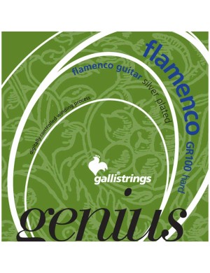 Струны для классической гитары Gallistrings GR100 HARD TNS