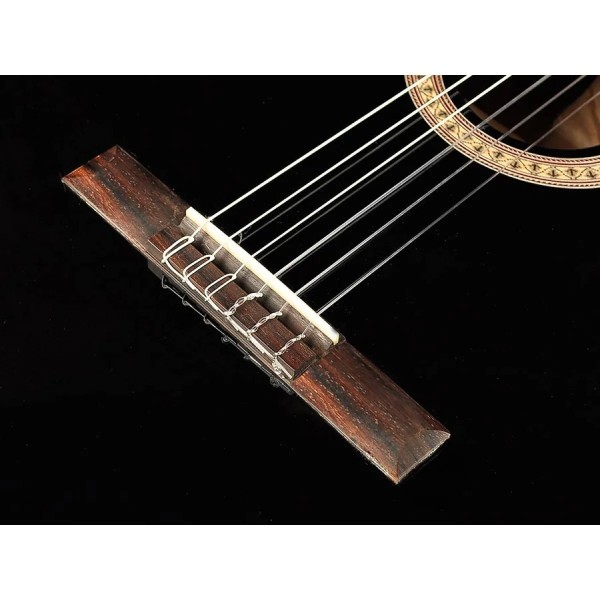 Класична гітара Salvador Cortez CC-22-BK Класична гітара Salvador Cortez CC-22-BK