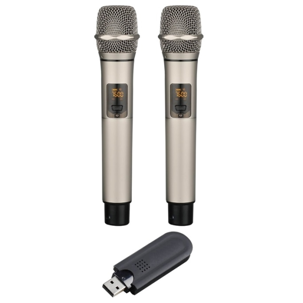 USB радіосистема з двома ручними мікрофонами Younasi UF-220B