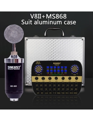 Портативный голосовой процессор для караоке Younasi PC-V8II