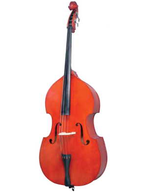 Контрабас MAXTONE DBV100 3/4