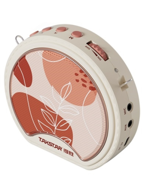 Портативная система для гида Takstar E20G Beige