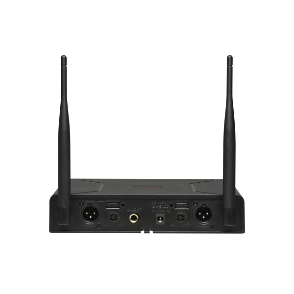 Радіосистема DV audio BGX-224 MKII з гарнітурами