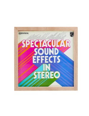 Рамка настінна для зберігання платівок GOKA GK-R65D