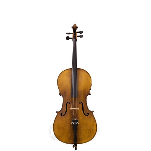 Віолончель MAXTONE CVC101 1/2