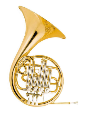 Валторна Си бемоль (Bb) MAXTONE THC53S 4LD