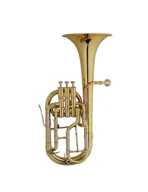 Горн MAXTONE TAC53RNL